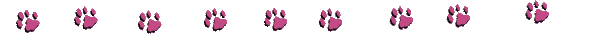 Image of animal_prints.gif
