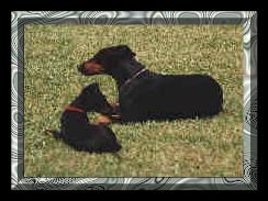 Just sitting around restin'