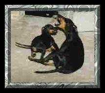 One of the early wrestling lessons