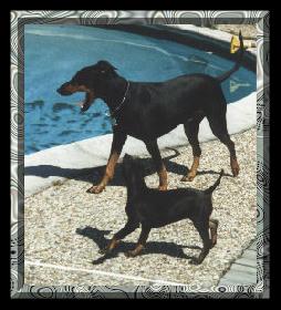 Come on Billy, let's play!