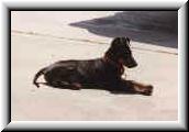BG at the beach