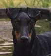 Hi! I'm BG