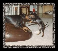 Does JJ really think he can topple Billy?