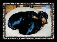 Two peas in a beanbag