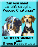 Great idea & good lists for shelters