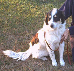 Image of charlie.jpg