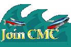 Center for Marine Conservation