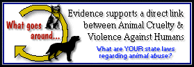 Help stop abuse today!