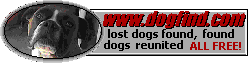 Database dedicated to finding and reuniting lost dogs