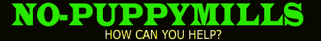 Wonderful site for information and action