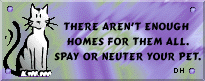 Not enough homes for them all