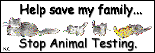 Say no to animal testing
